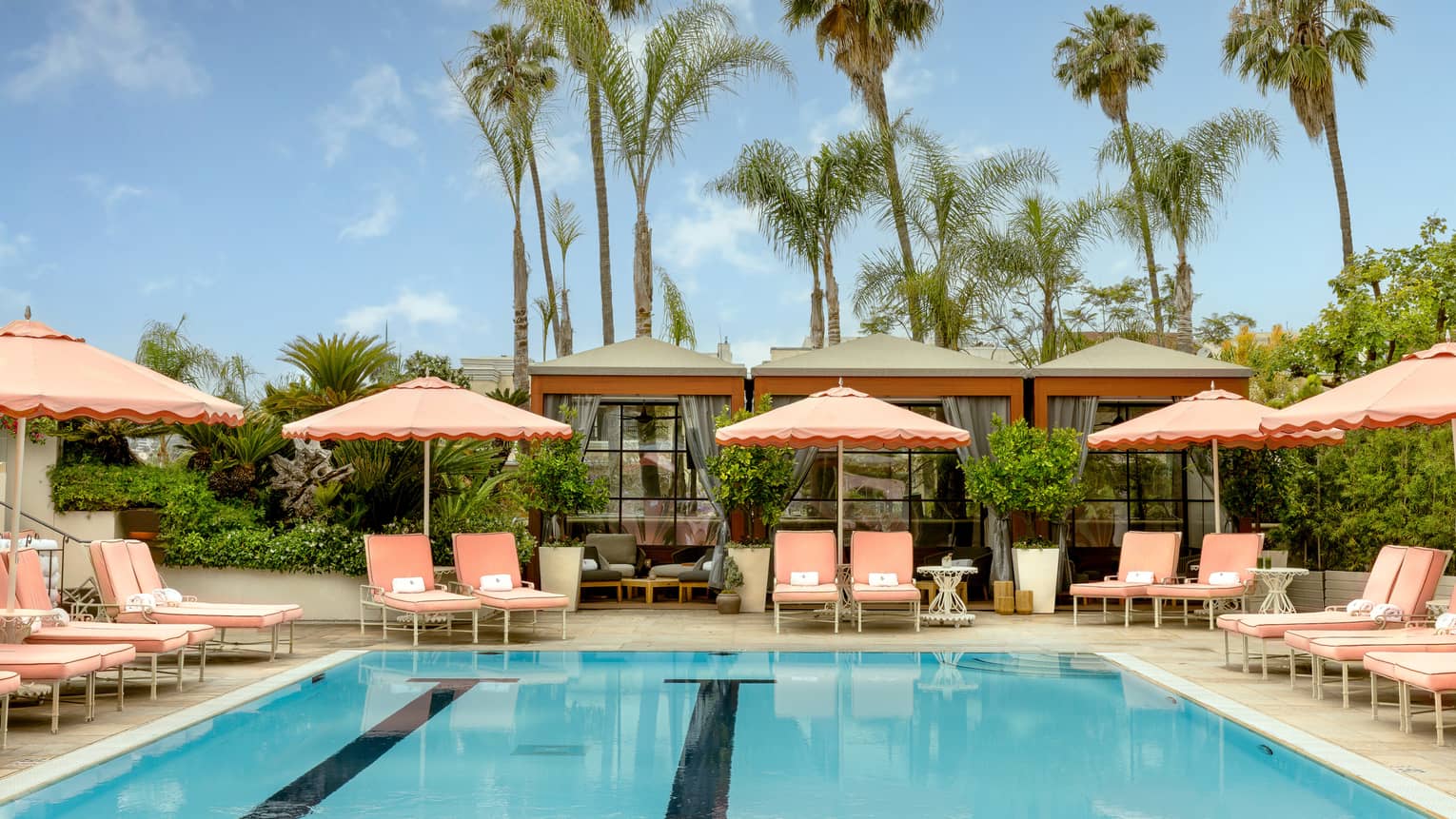 Outdoor hotel pool surrounded by pairs of pink lounge chairs under pink umbrellas with tall palm trees in the background