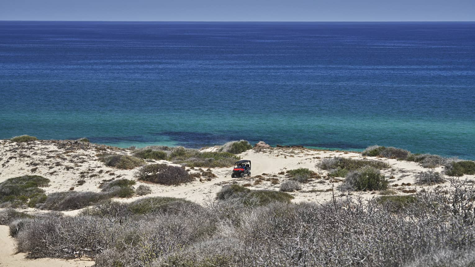 A beach with shrubs and a blue ocean in the distance.