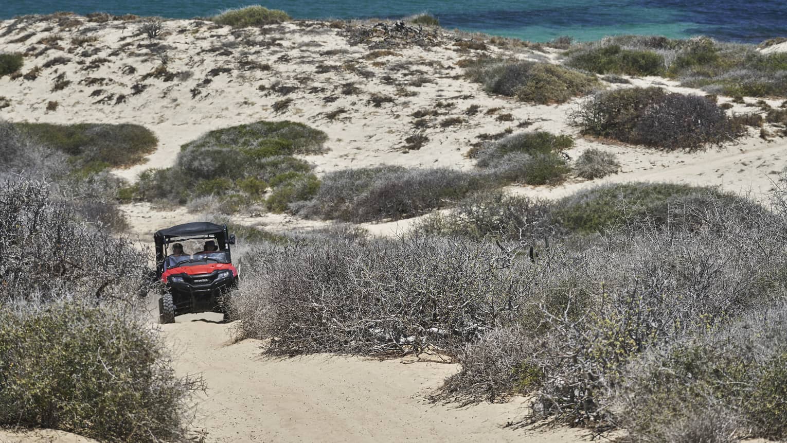 An outdoor vehicle driving over sand dunes.