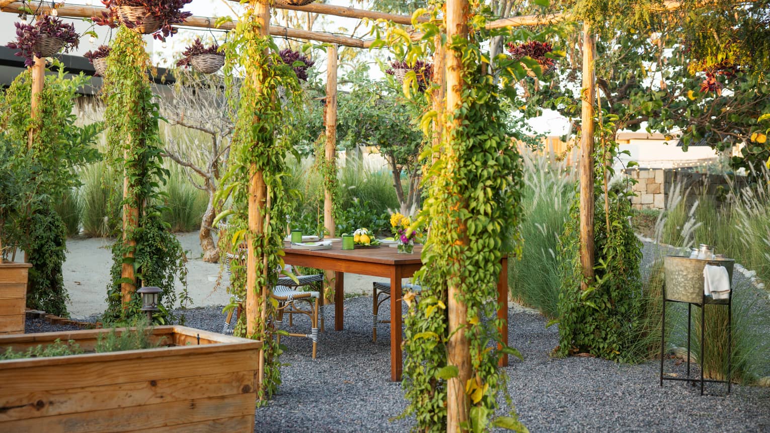 Outdoor dining table with pergola that has green plants around it.
