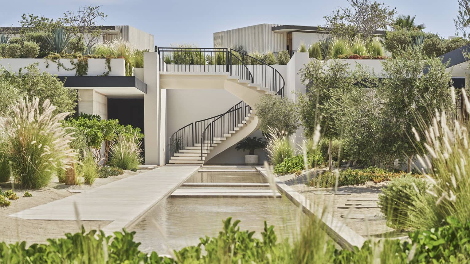 An outside courtyard with spiral stairs and plants.