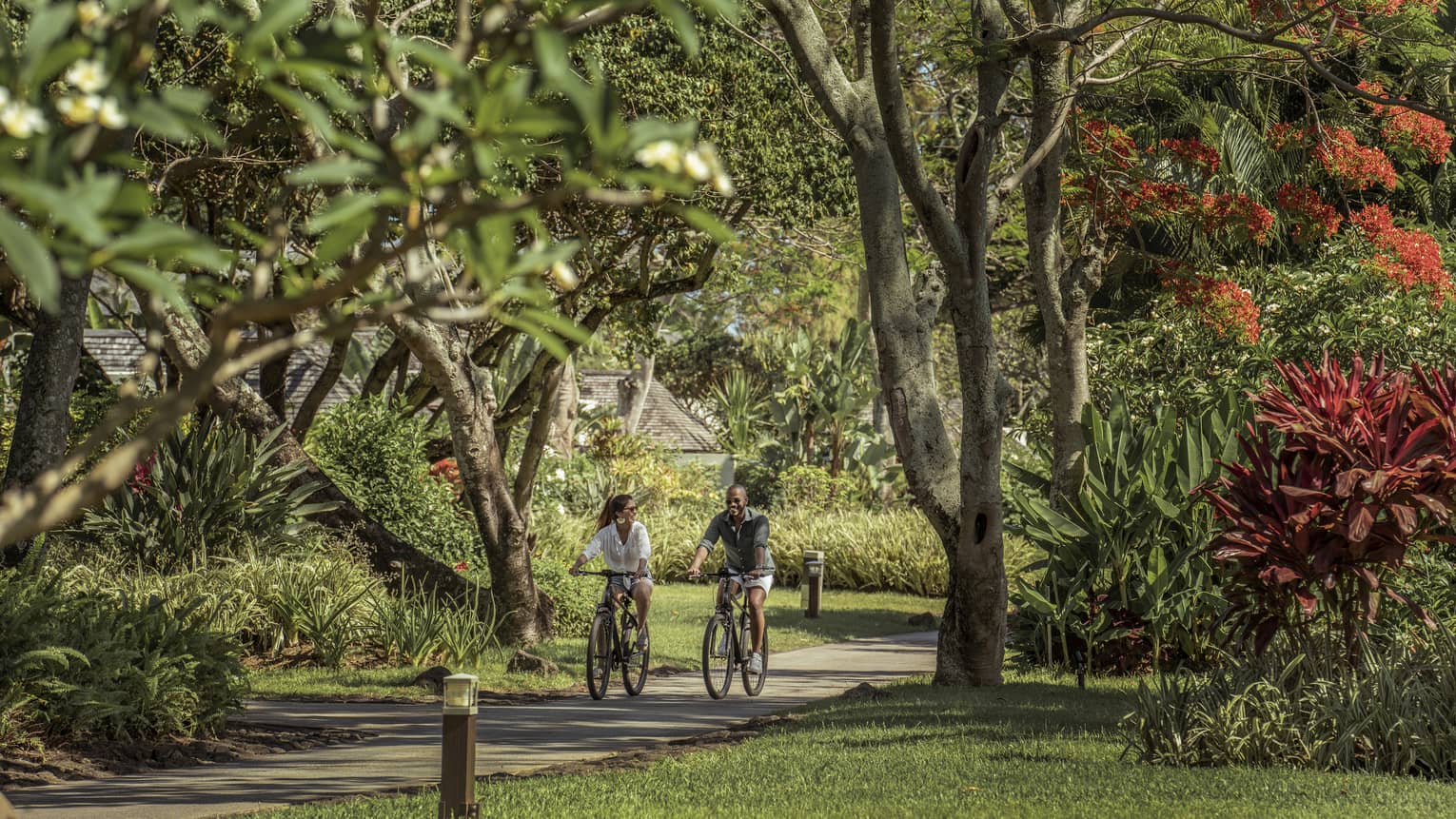 Couple cycles on a tree-lined path