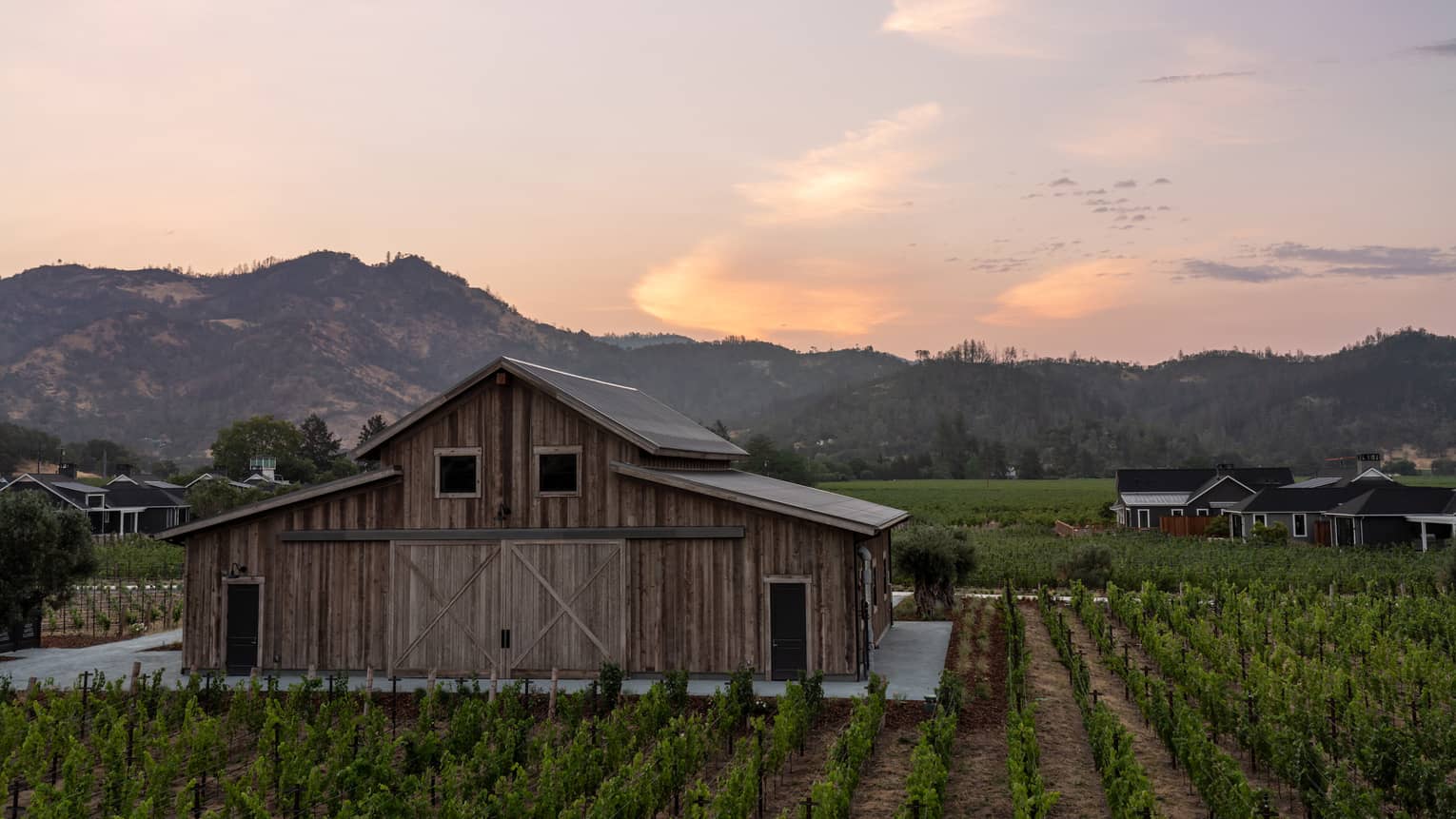 A barn on a vineyard during sunrise or sunset.