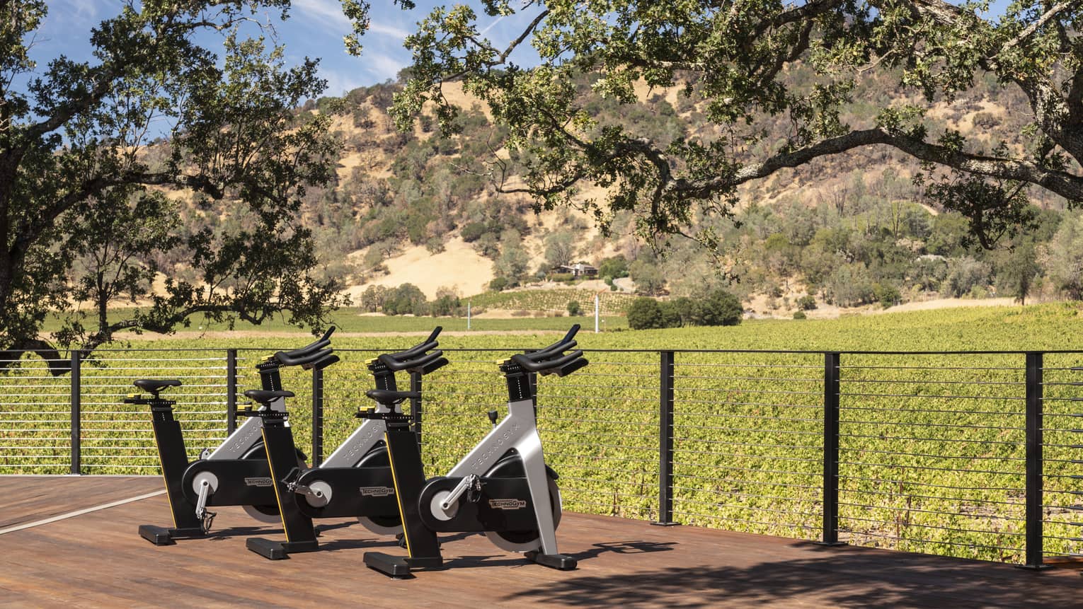 Stationary bikes outside on a platform near grass and plants.