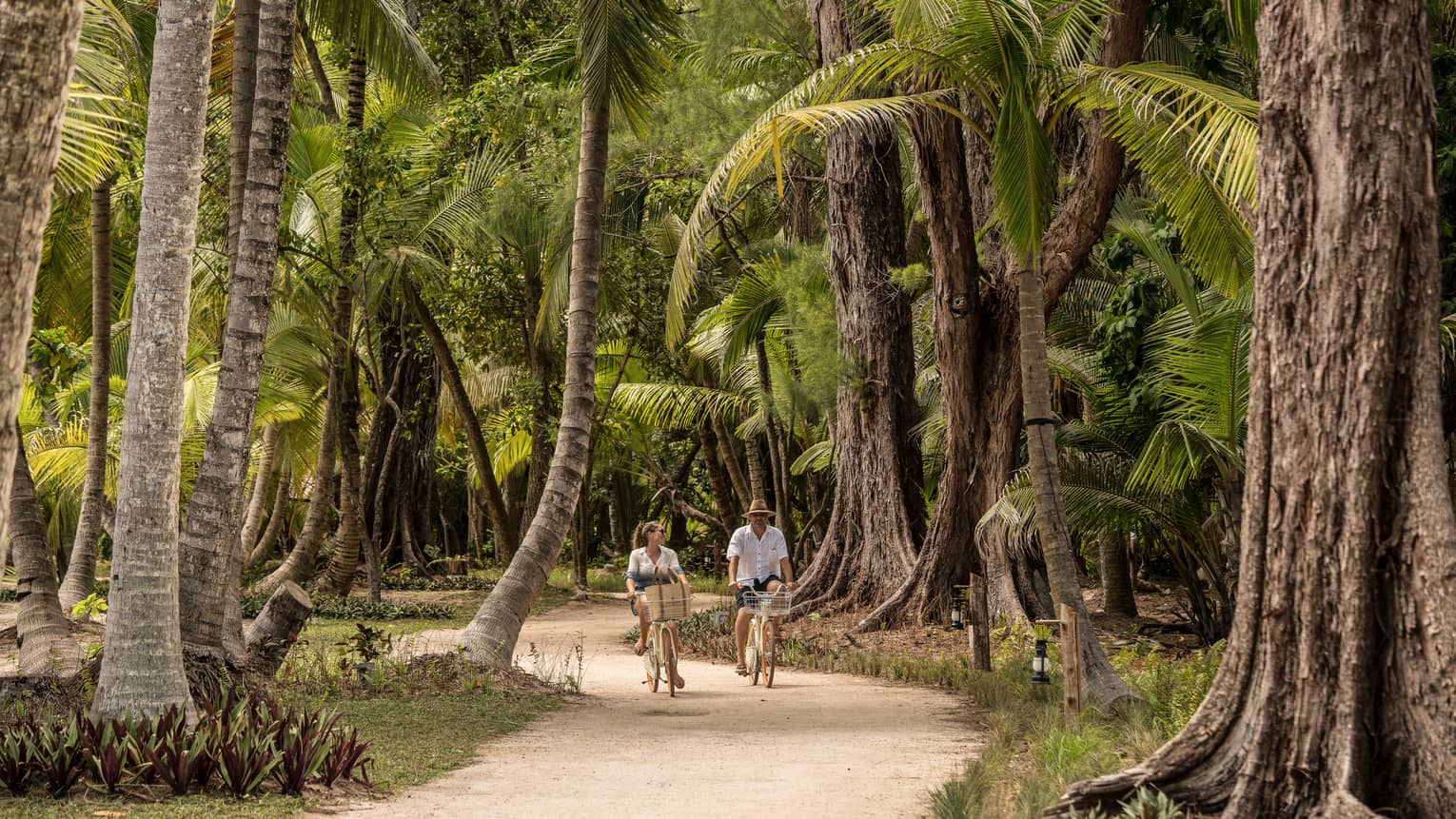 Couple riding bikes through towering palms and forest