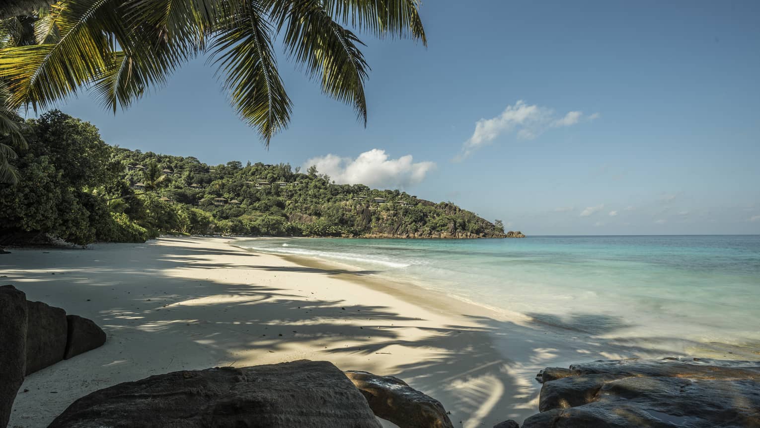 Petite Anse white sand beach with palm trees casting shade over sand and water