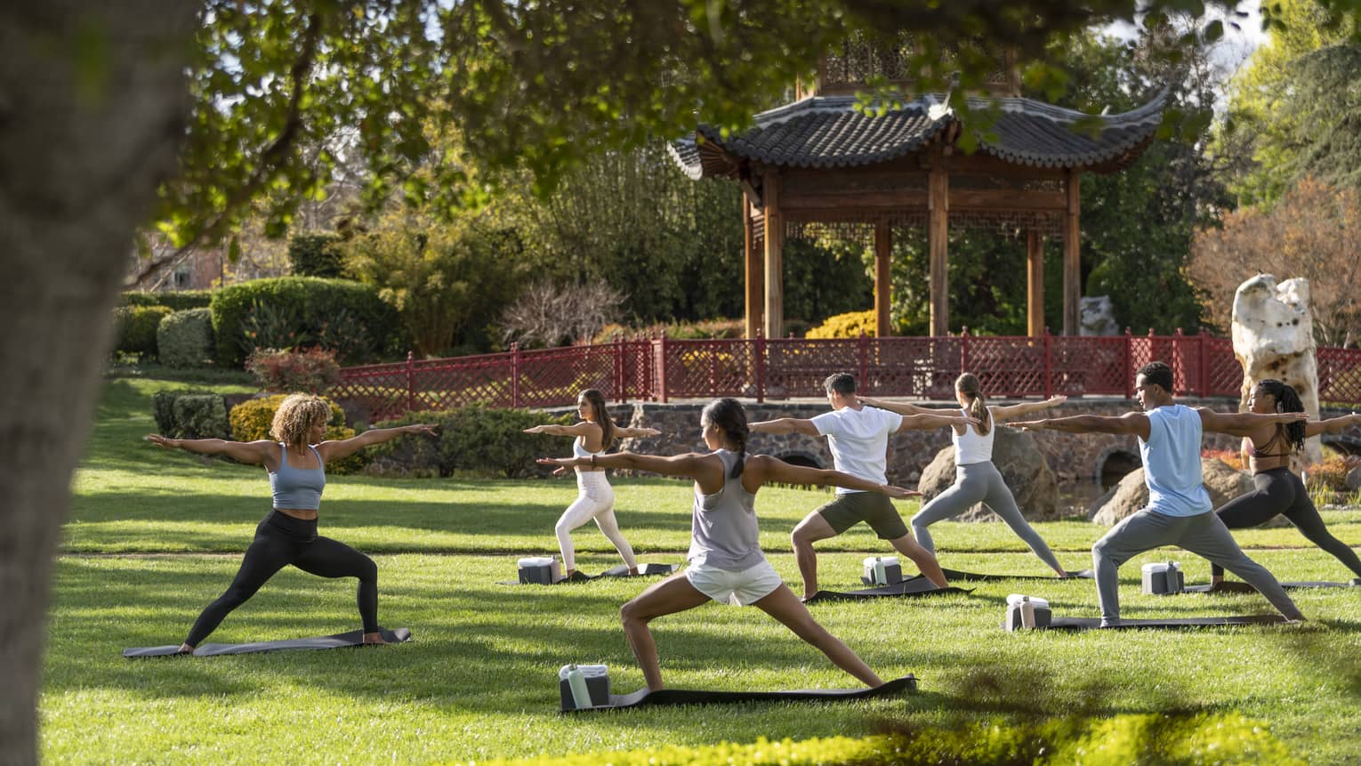 A yoga instructor teaching a class of six people outside near a wooden platform in a garden.