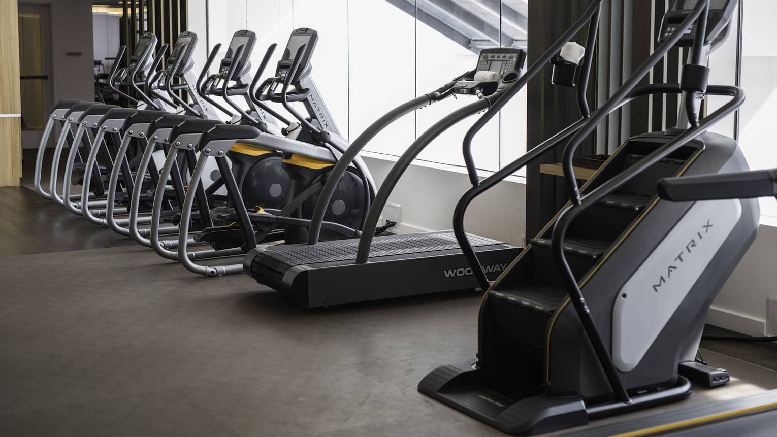 Cardio equipment by a large window.