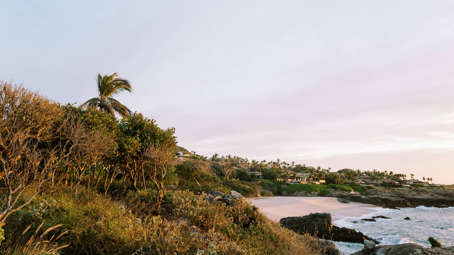An intimate beach cove, with jungle on one side and ocean on other