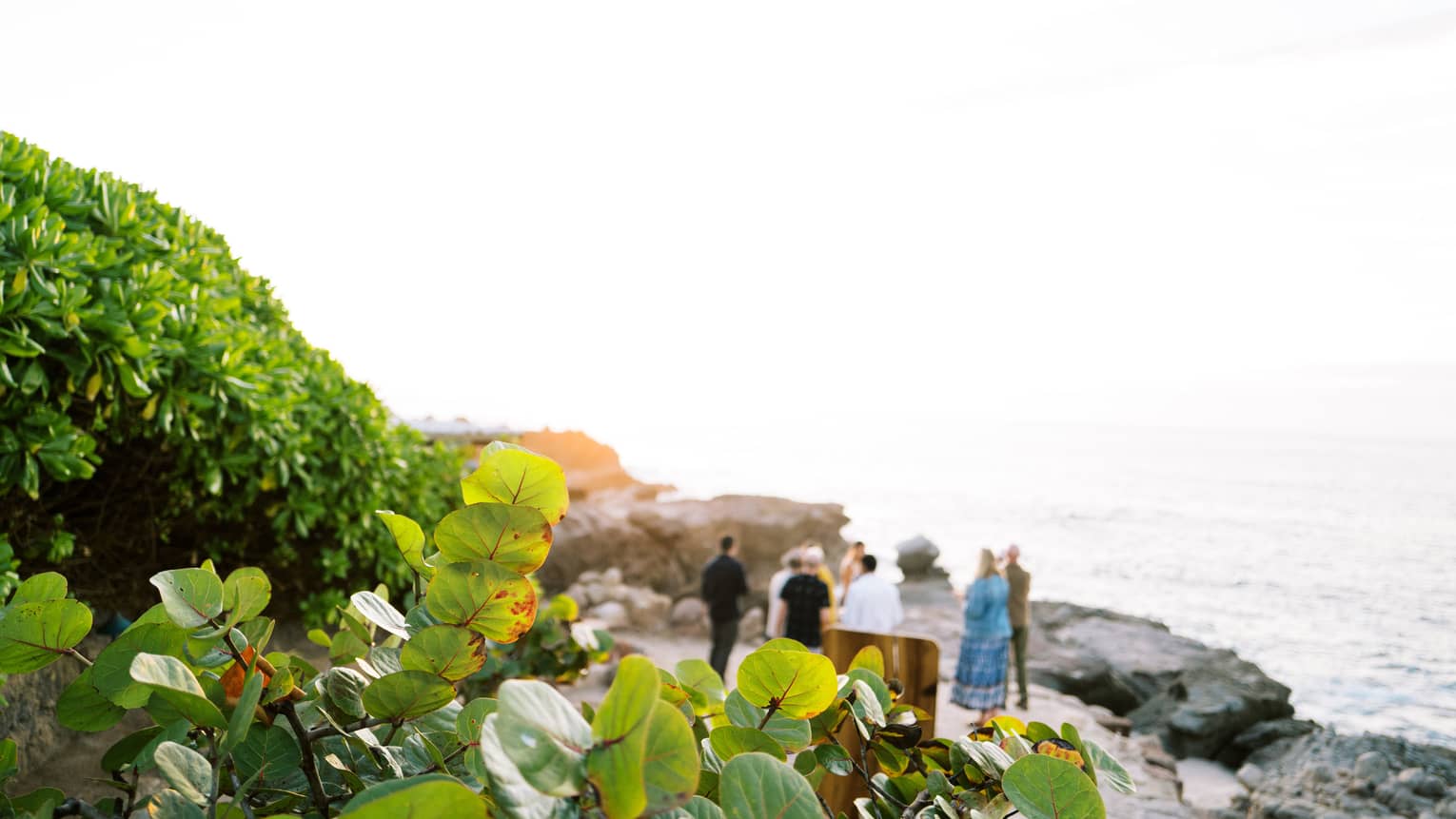 Guests mingling on the beach