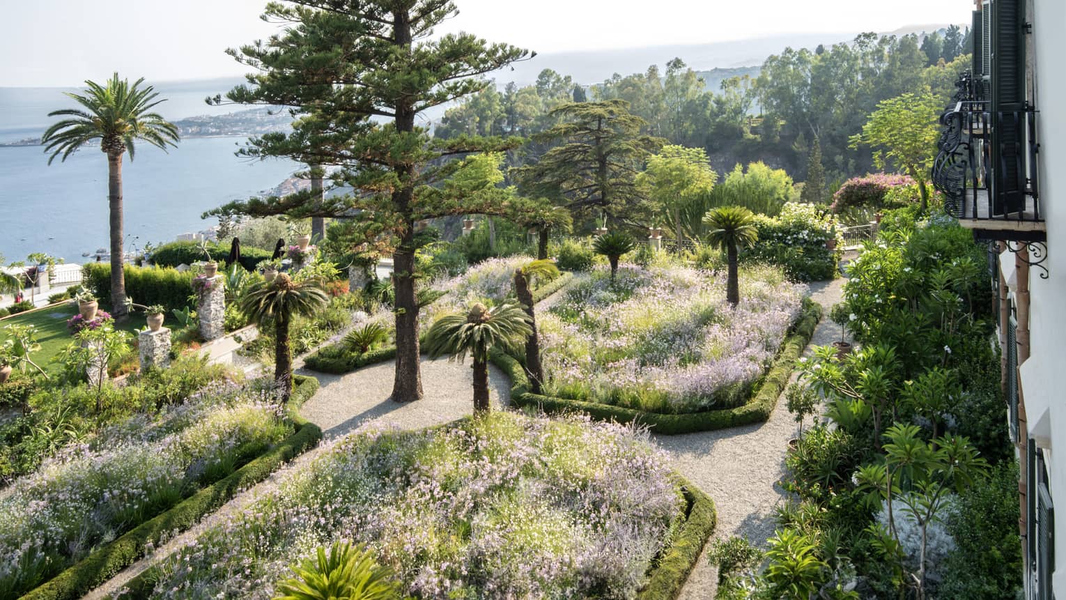 An outdoor garden area with flowers and various plants.