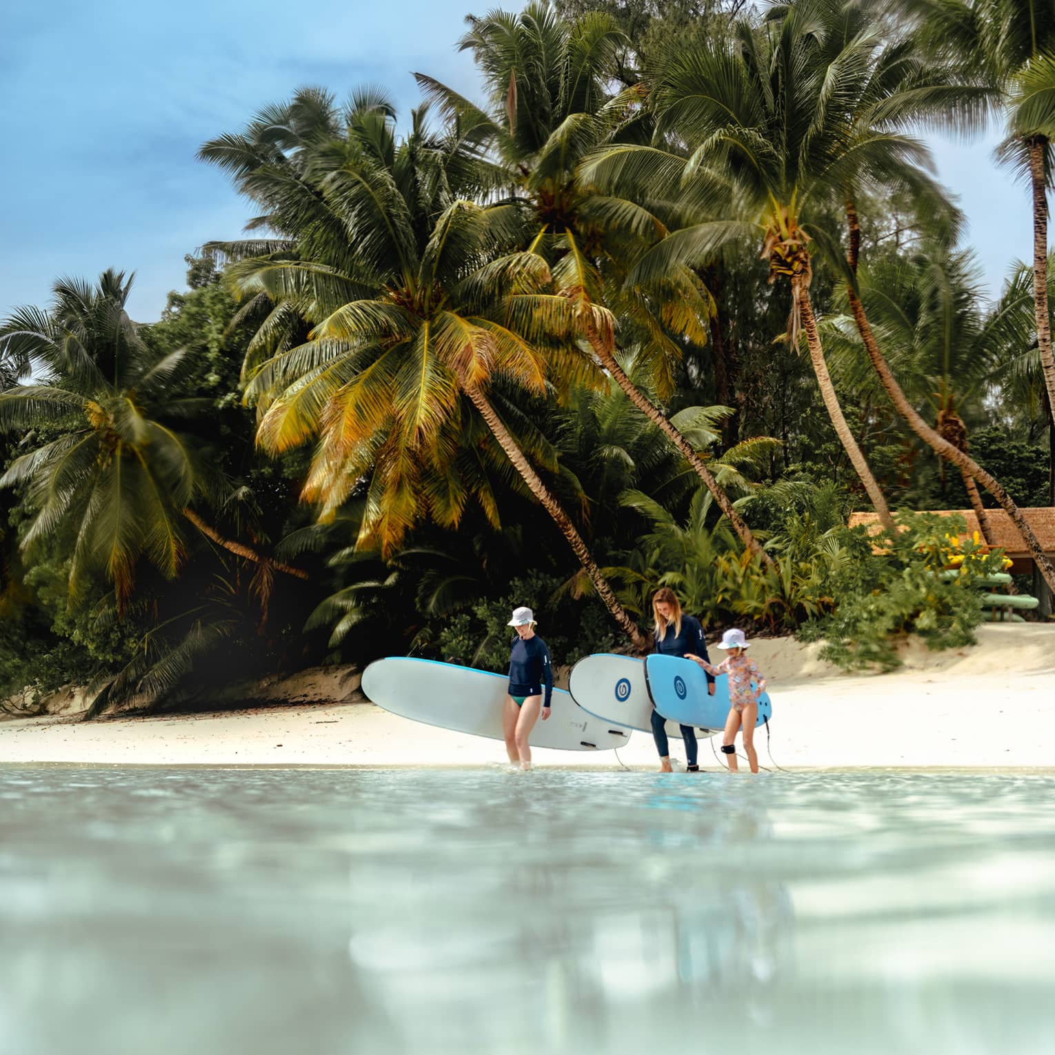 Two adults carrying surfboards accompany a child into the calm water, sandy beach and palm trees behind them. 