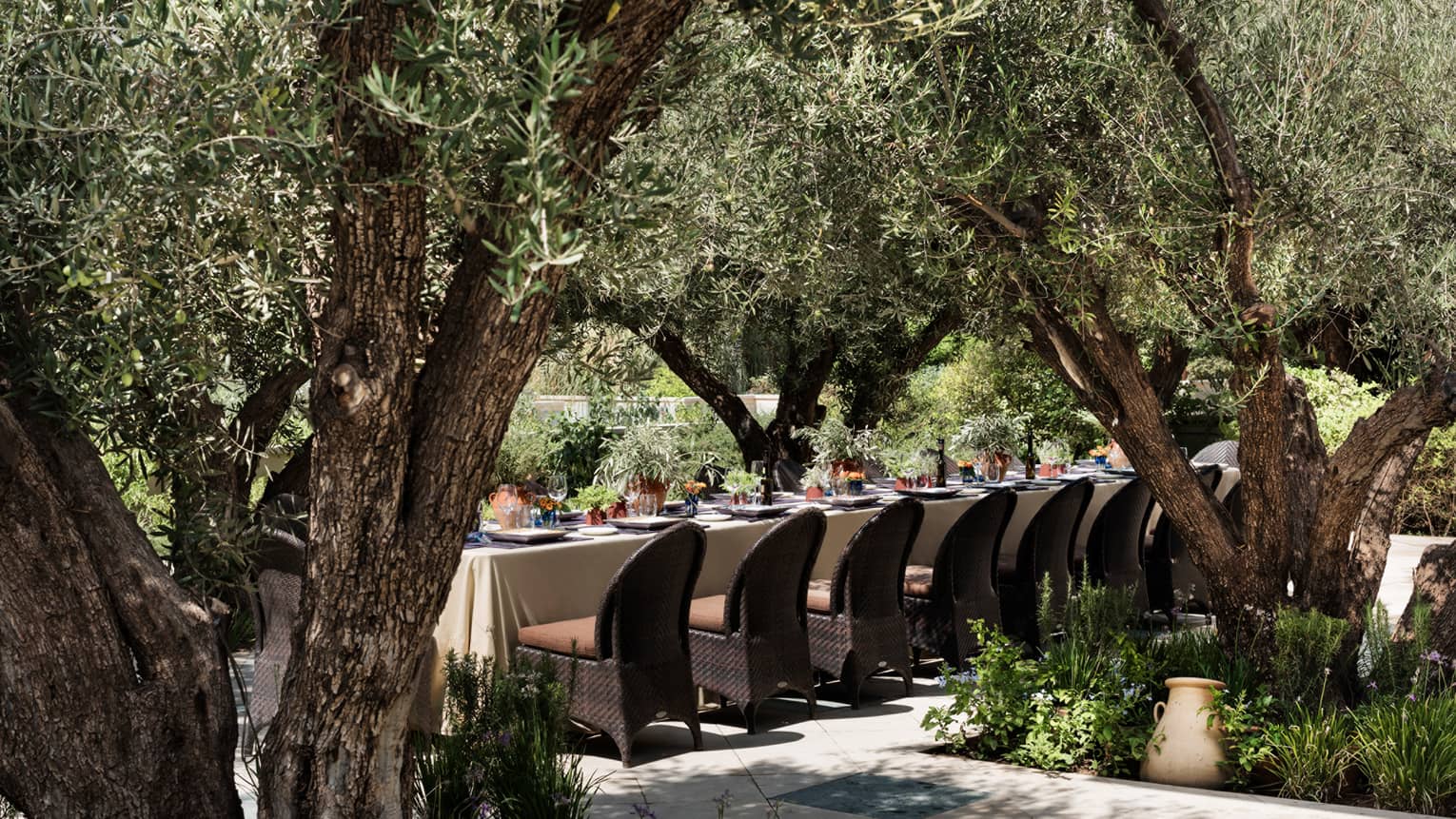 Long outdoor dining table with white tablecloth, chairs under thick trees in garden