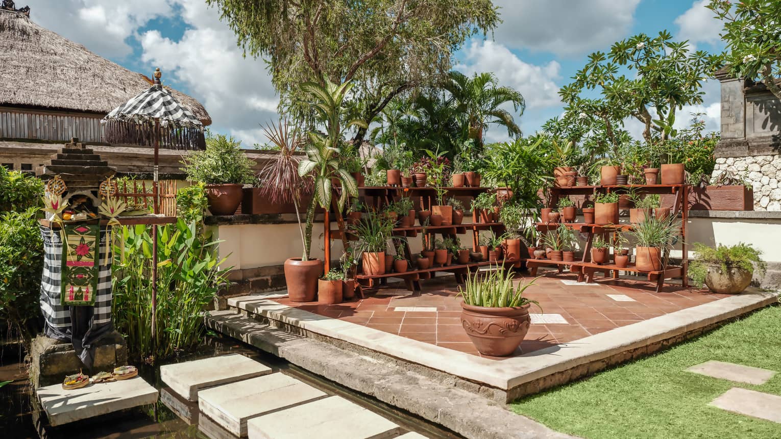 Telu's potted garden