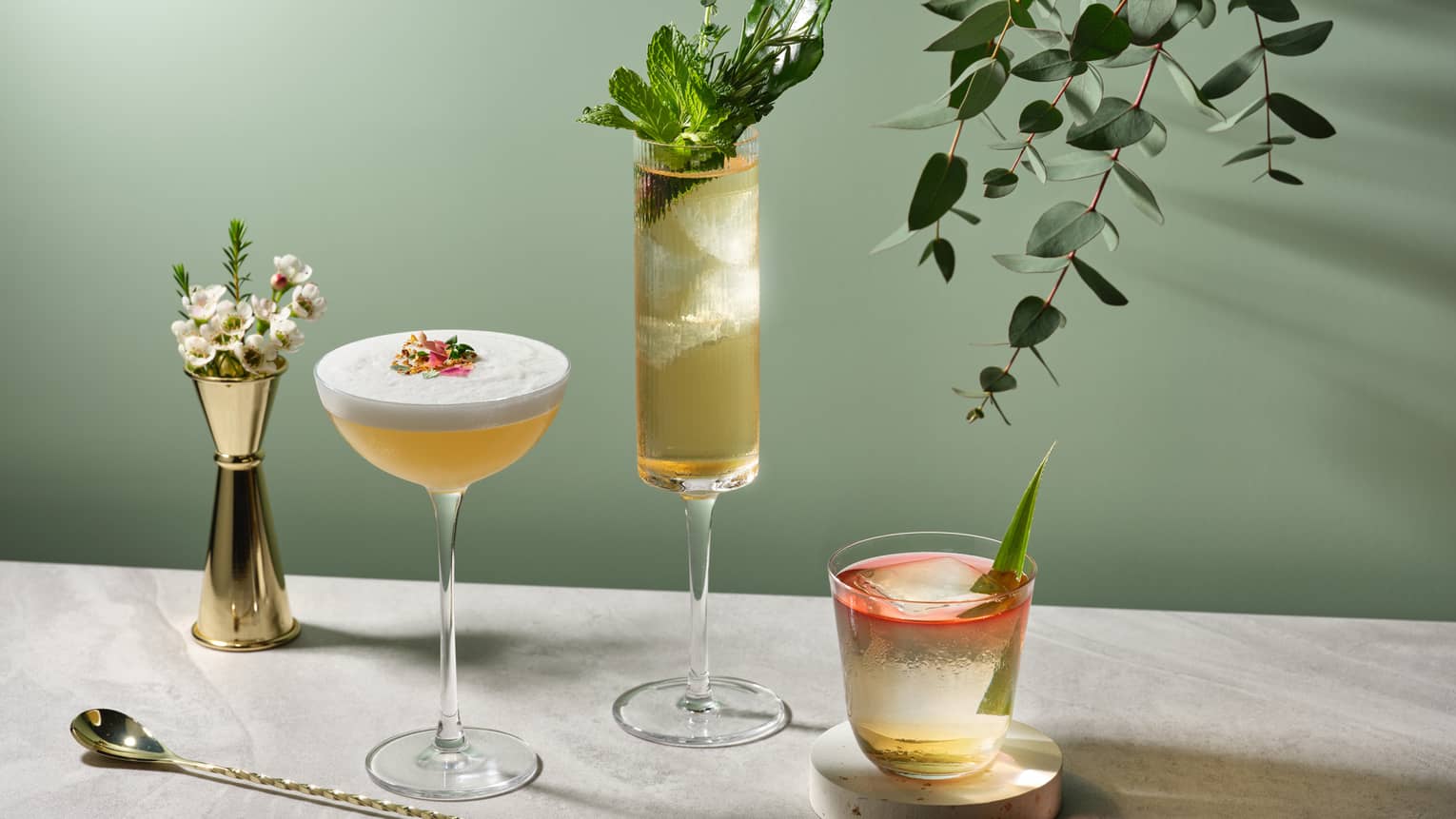 One-Ninety Bar cocktail trio on sage green background with eucalyptus branch