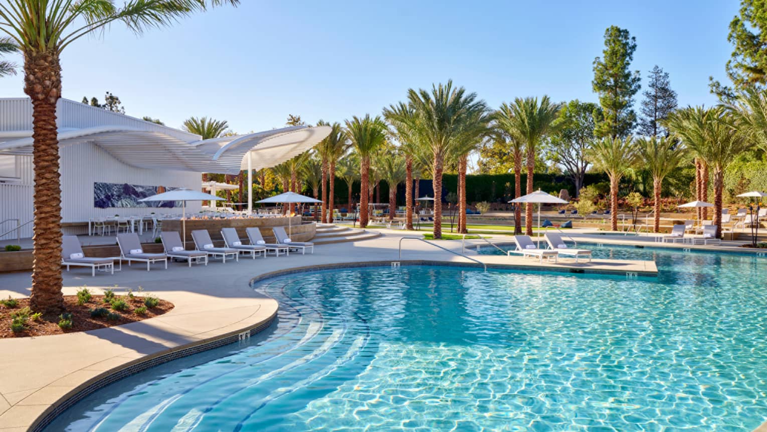 Pool with clear water, palm trees and lounge chairs.