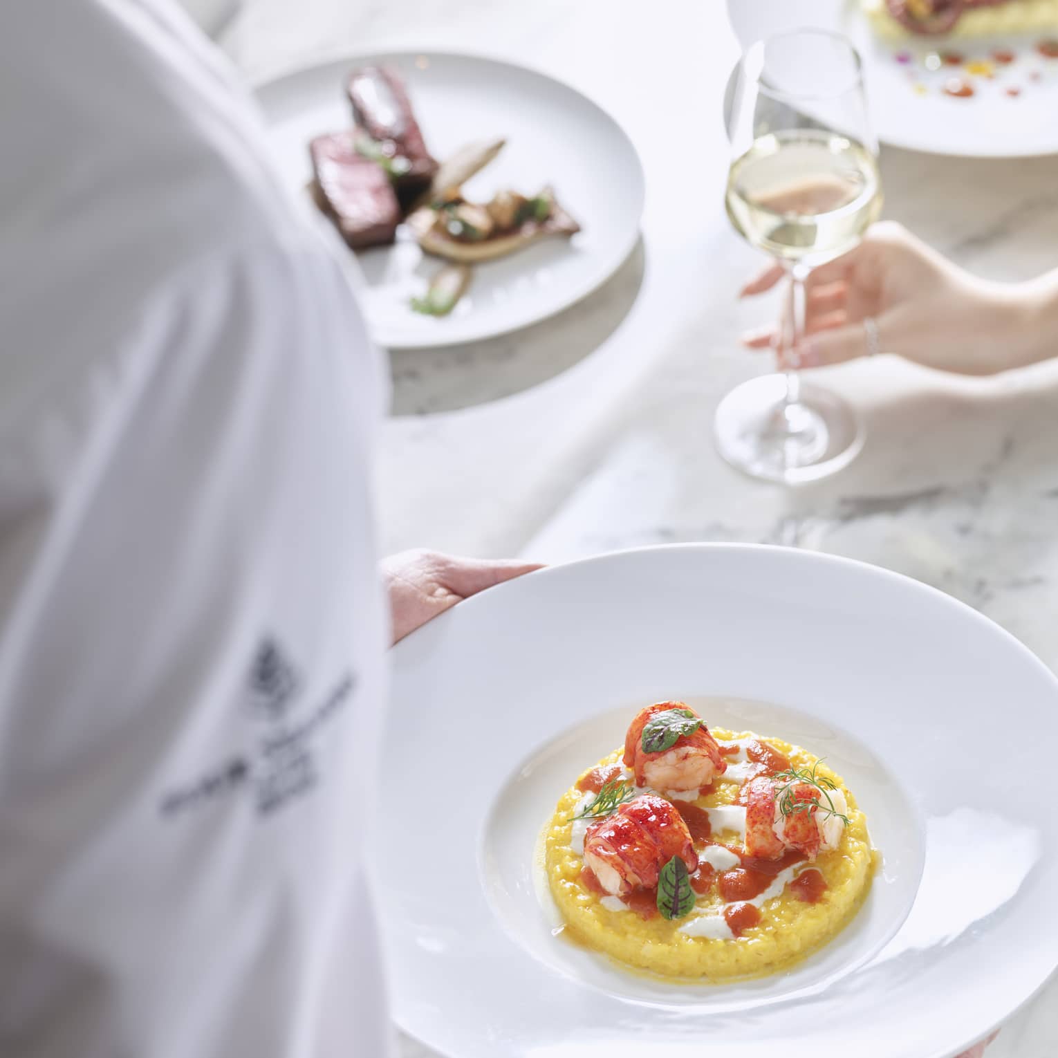 Chef holding white plate with three pieces of lobster with basil and dill garnish on a bed of creamy yellow saffron risotto.