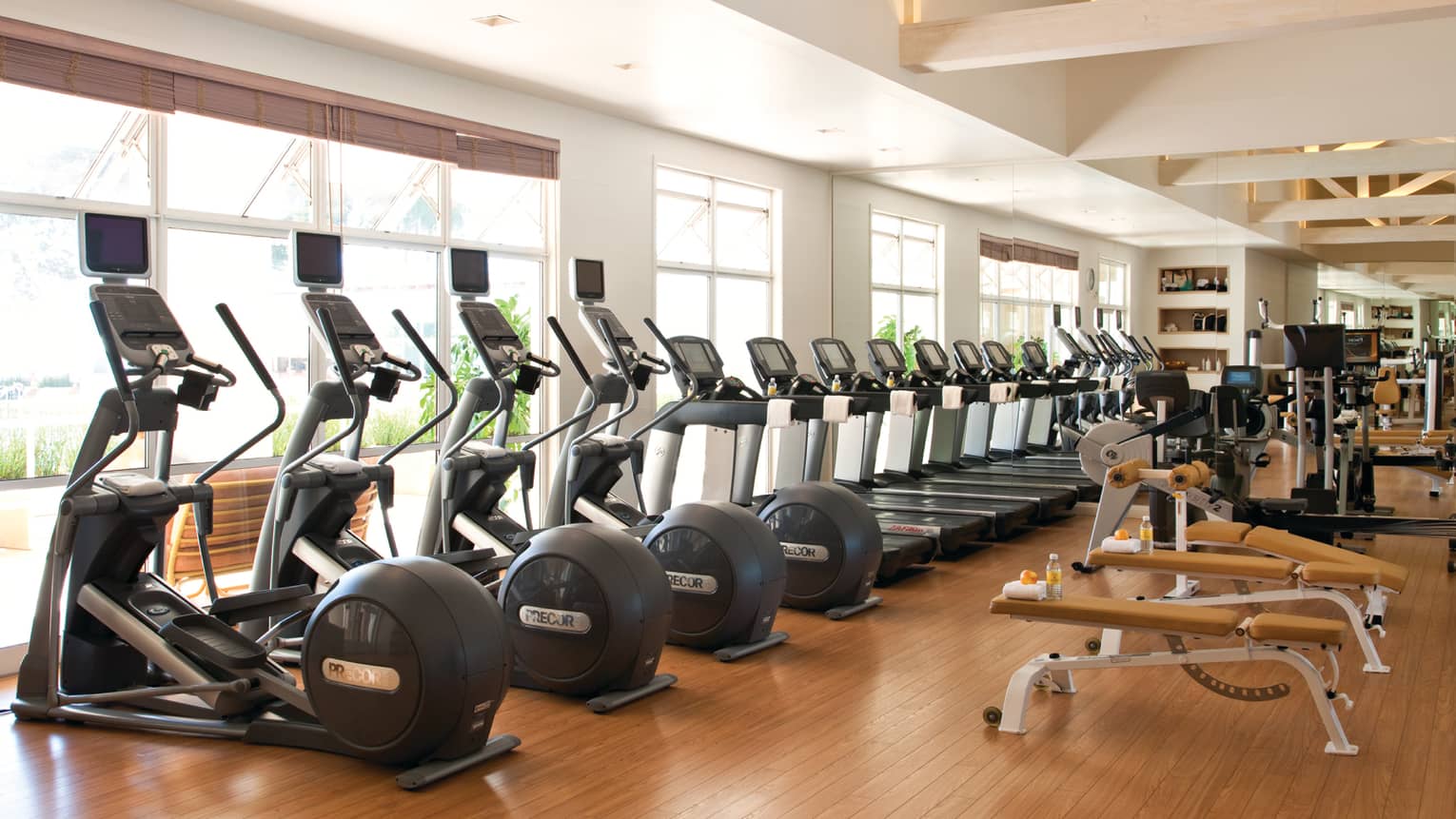 Row of elliptical cardio machines, treadmills by sunny windows in Fitness Centre 