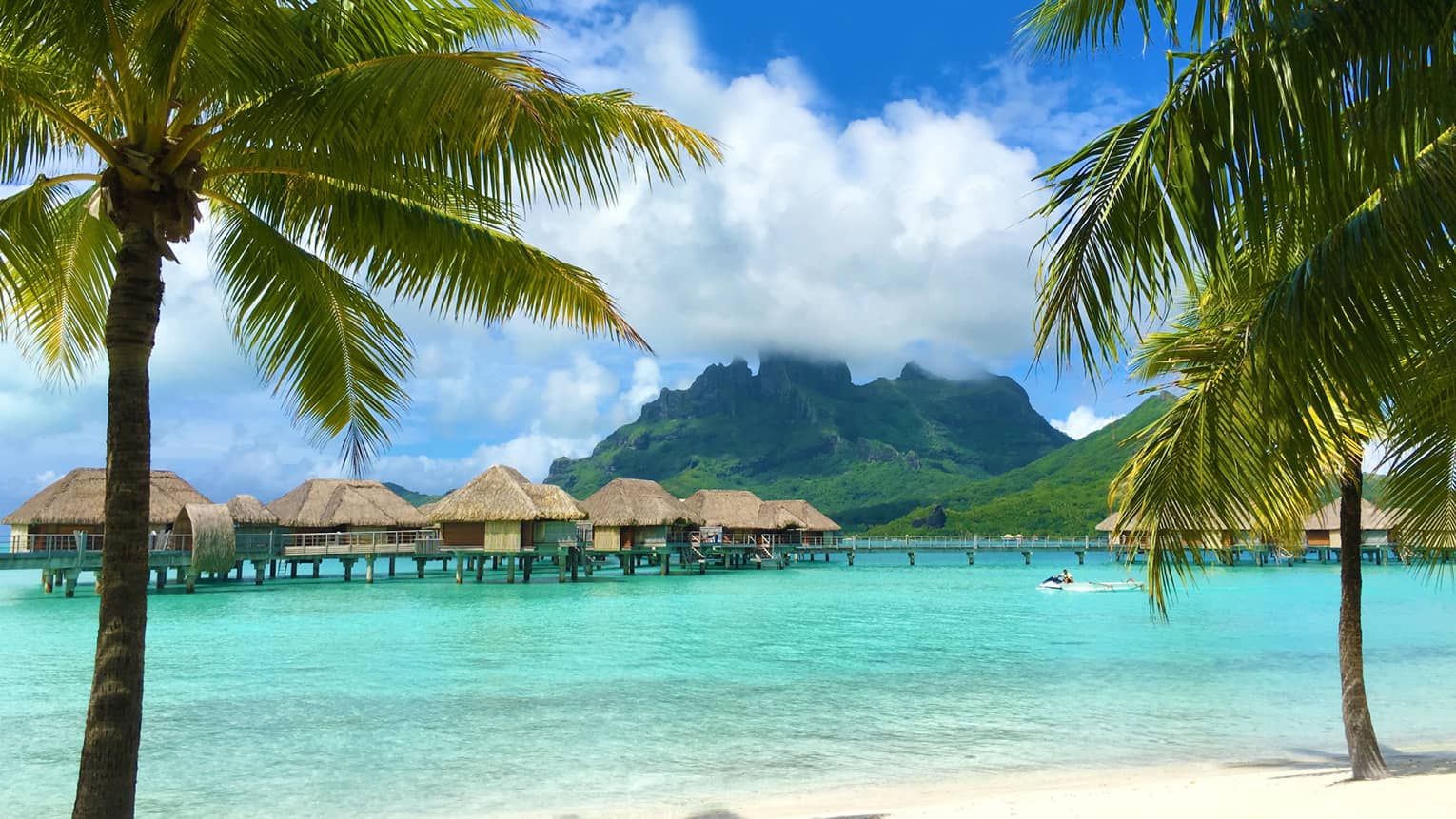 Row of overwater bungalows sit atop clear turquoise water in between two palm trees