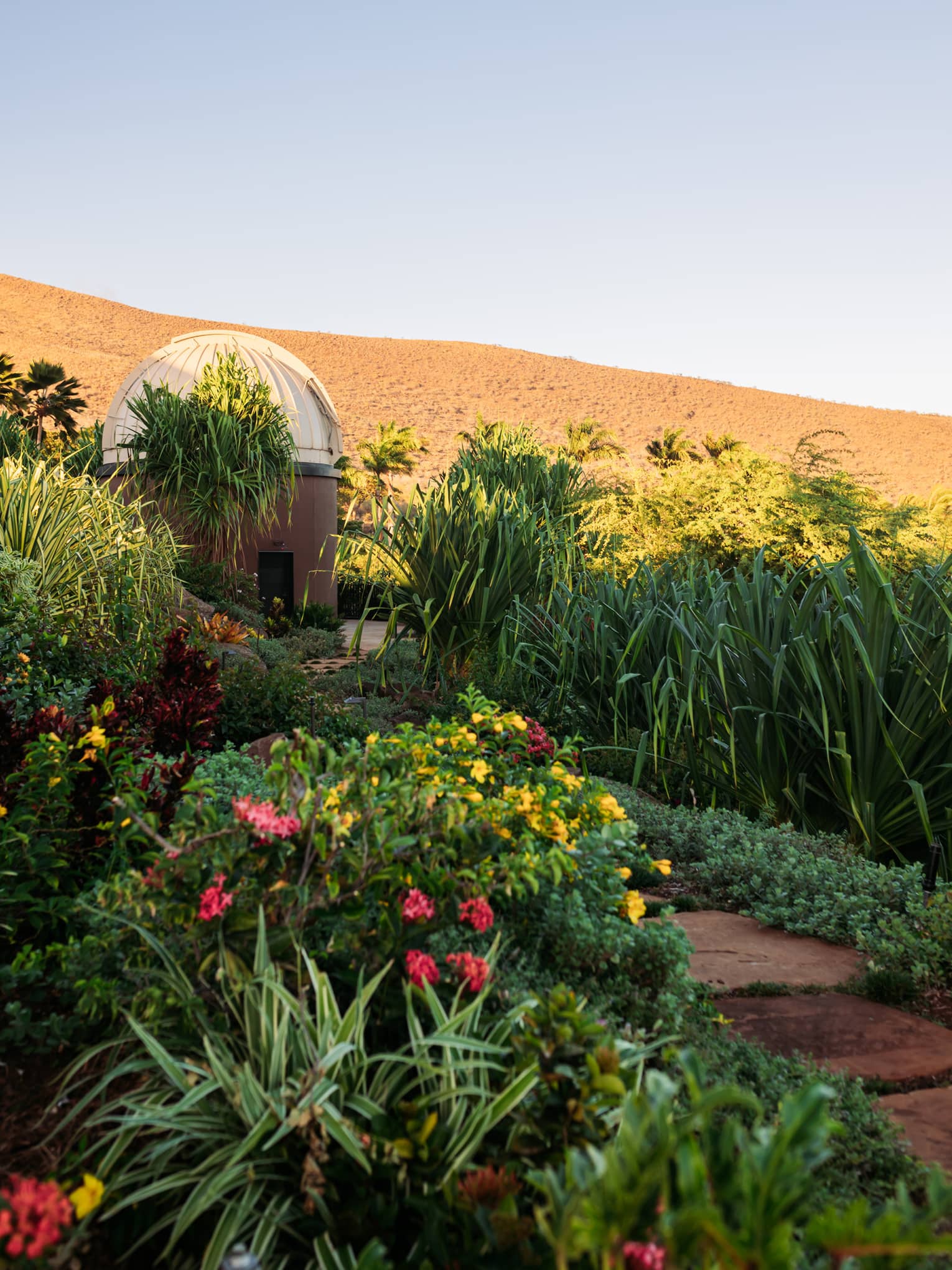 Observatory in a garden setting