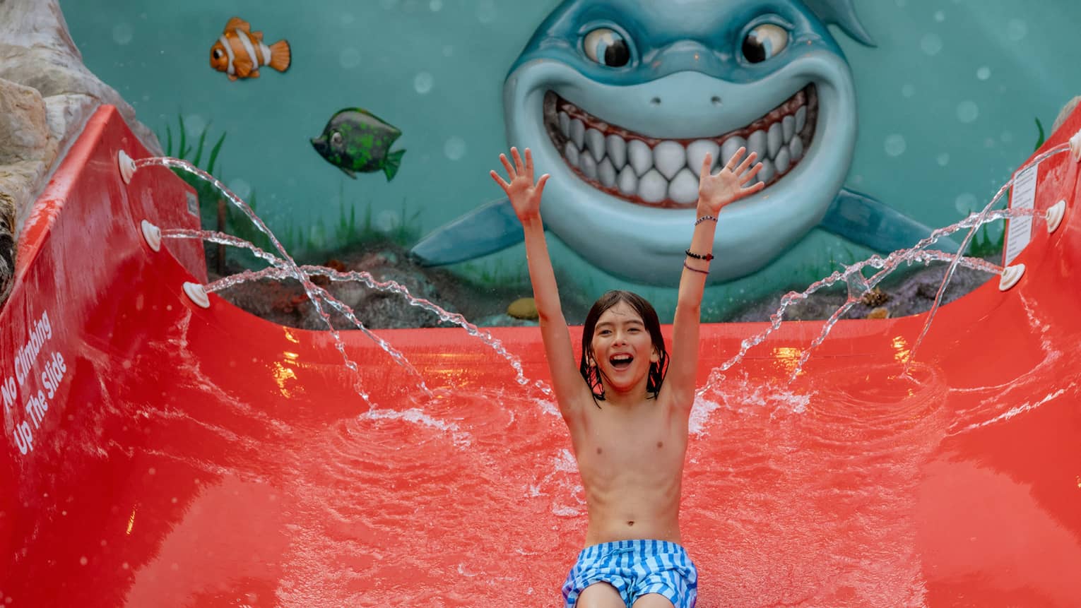 Child wearing blue-and-white striped swim trunks slides with their hands up down a bright red water slide with a mural of a smiling shark in the background