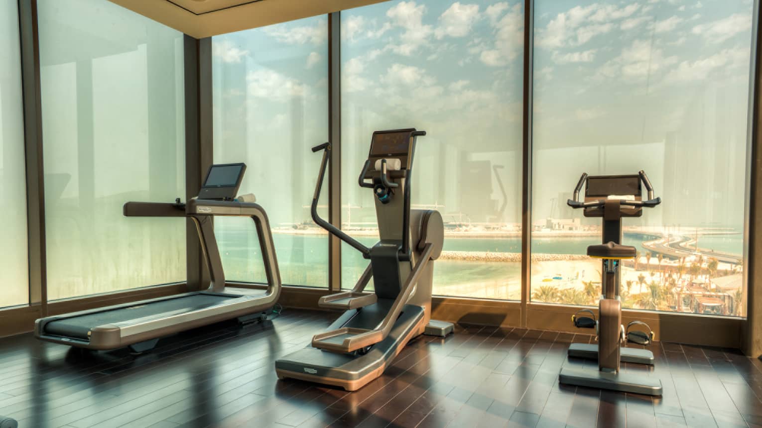 A treadmill, elliptical machine and cardio bike side-by-side at window overlooking beach