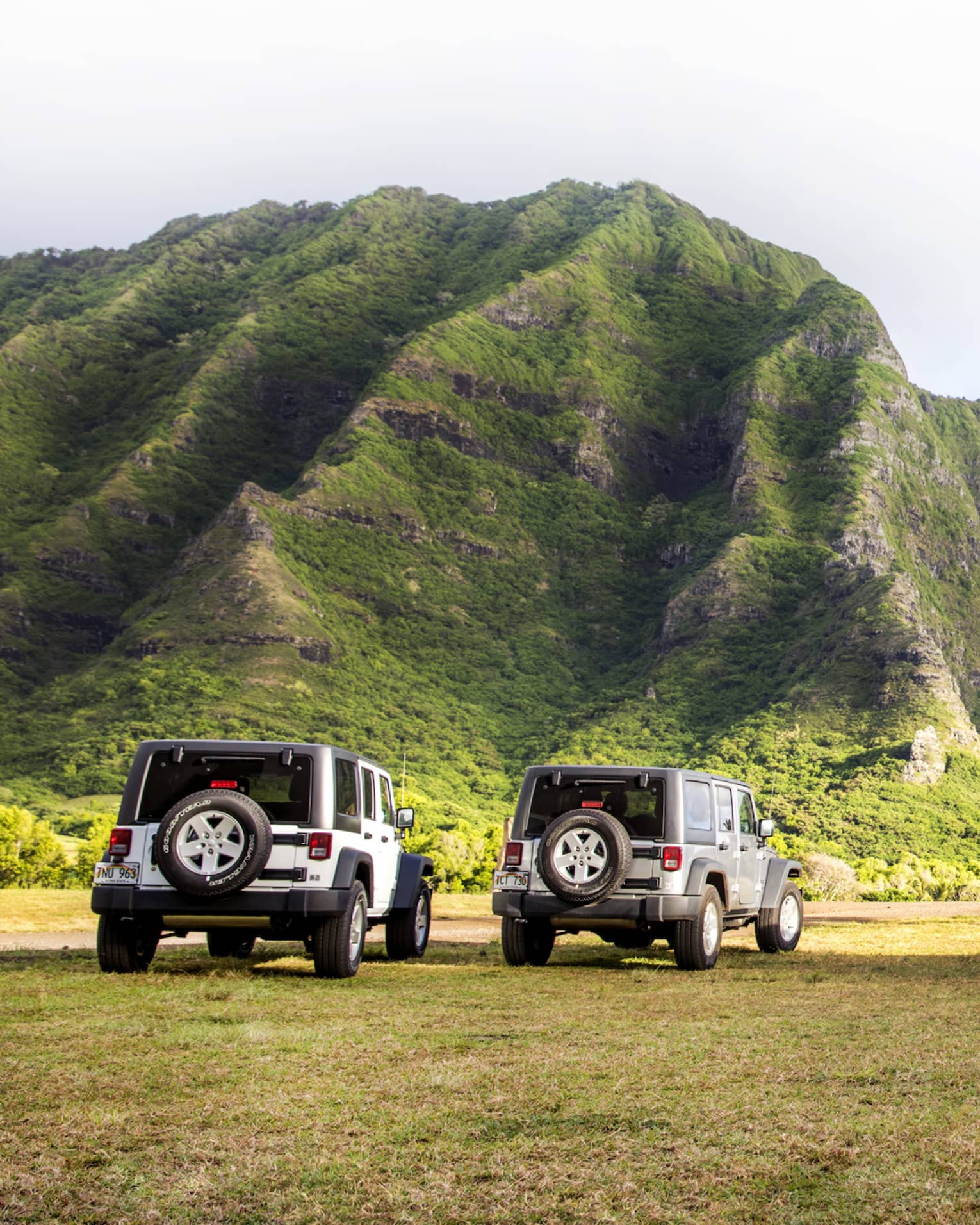 Rear view of three Jeeps and a group of slender palm trees on a grassy plain against a verdant crevassed mountain backdrop.