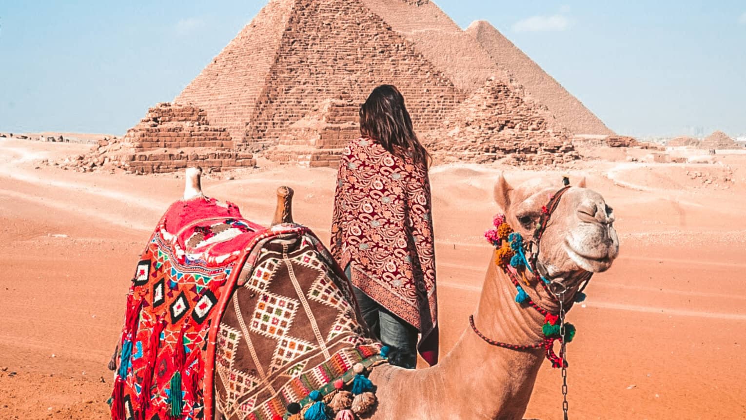 A woman behind a camel covered in colourful blankets looking at pyramids in the distance.