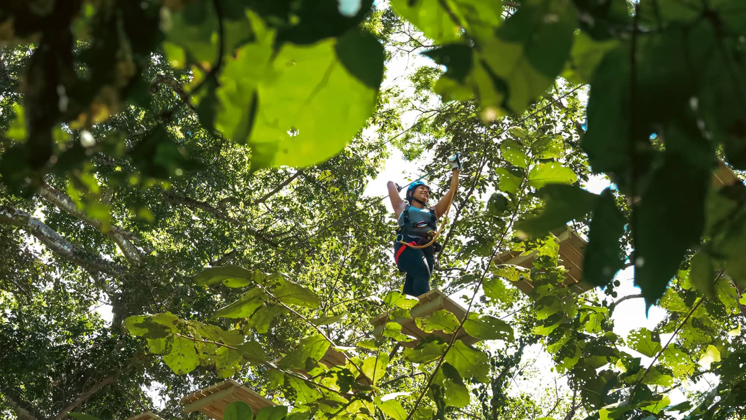 View from beneath of a guest in a helmet and harness carefully crossing a rope bridge through the treetops.
