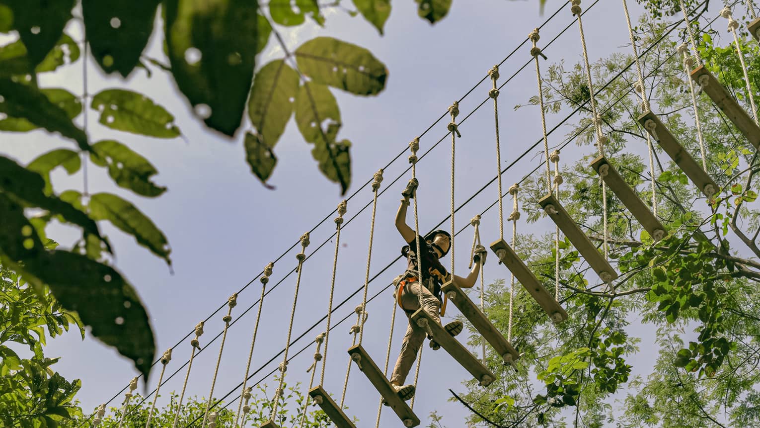 Overhead, a person crosses a bridge of wood planks suspended by ropes high above the forest canopy, surrounded by trees.