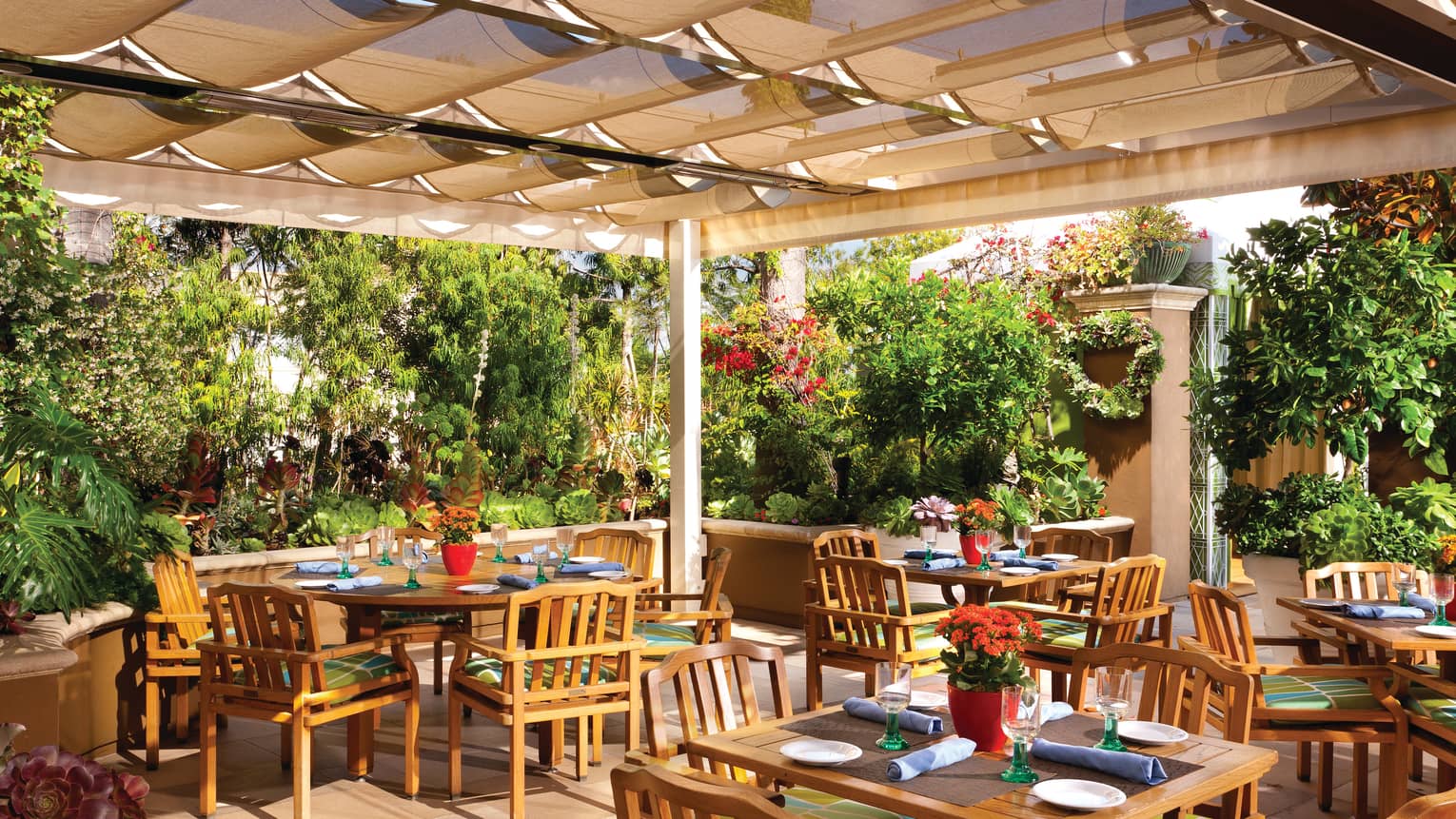 Cabana Restaurant patio dining tables, chairs under pergola, surrounded by trees