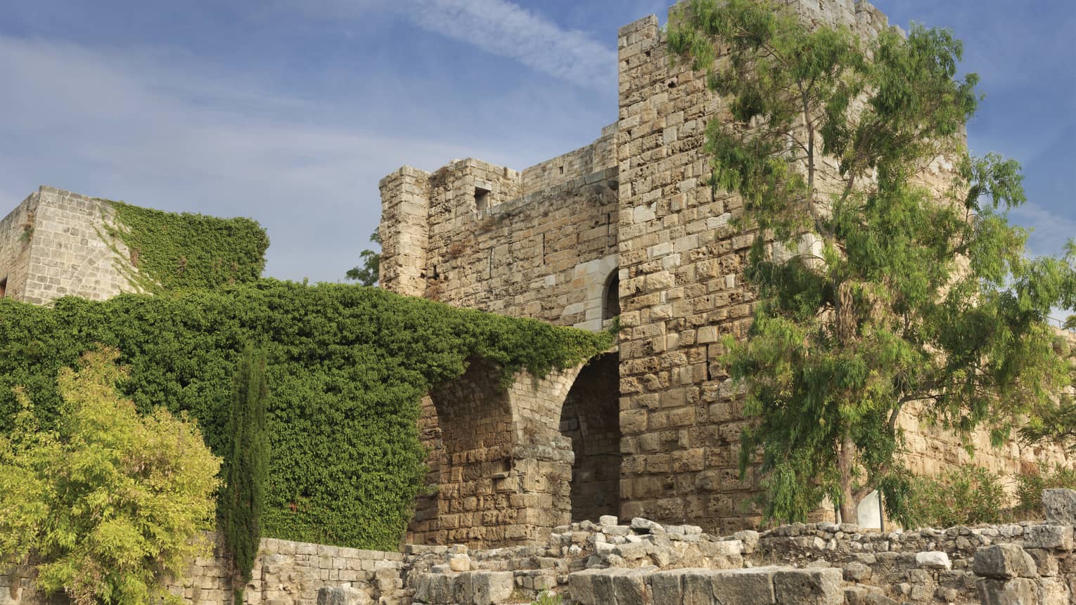 Exterior shot of brick Ruins of Byblos partially covered by vines, a tree on a sunny day