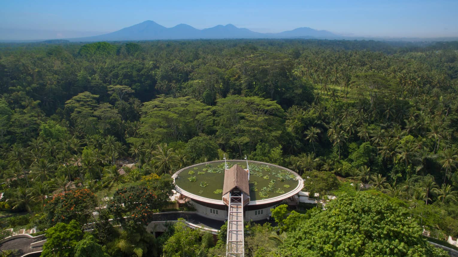 High aerial view of rooftop lotus pond on top of resort and wood bridge in lush tropical forest, mountains in background