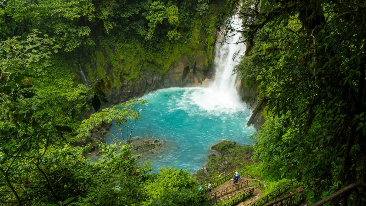 Waterfall surrounded by deep green jungle