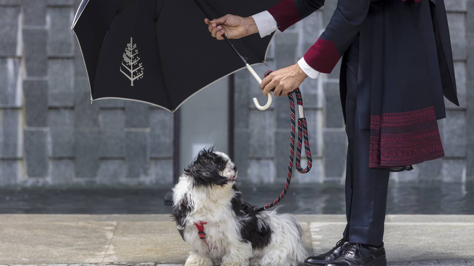 Doorman at Four Seasons Hotel Bengaluru holds a black Four Seasons umbrella over a small black and white dog