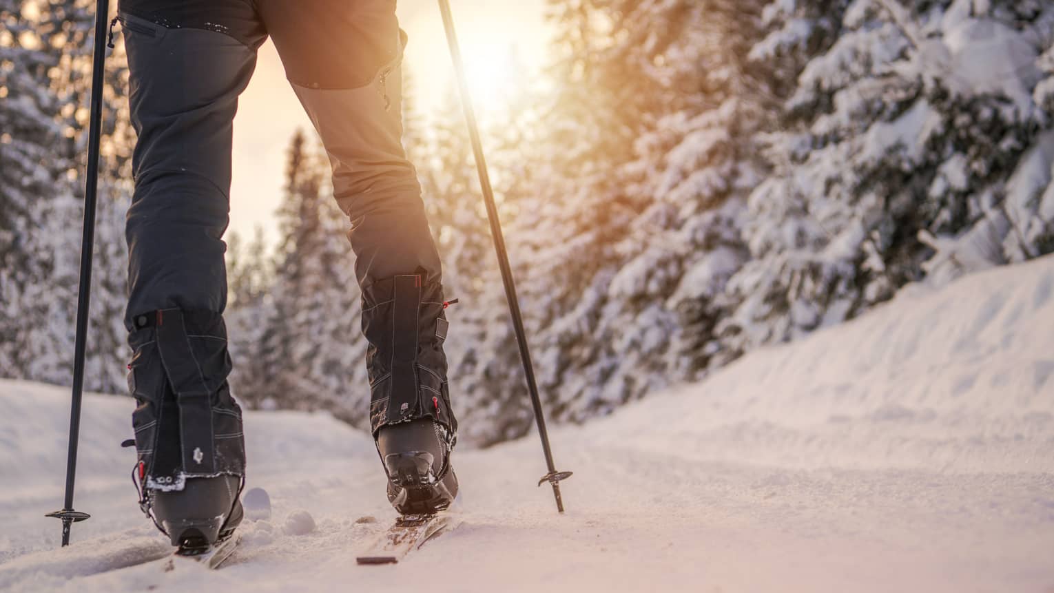 A person's legs glide along a snowy pathway while cross-country skiing in the forest