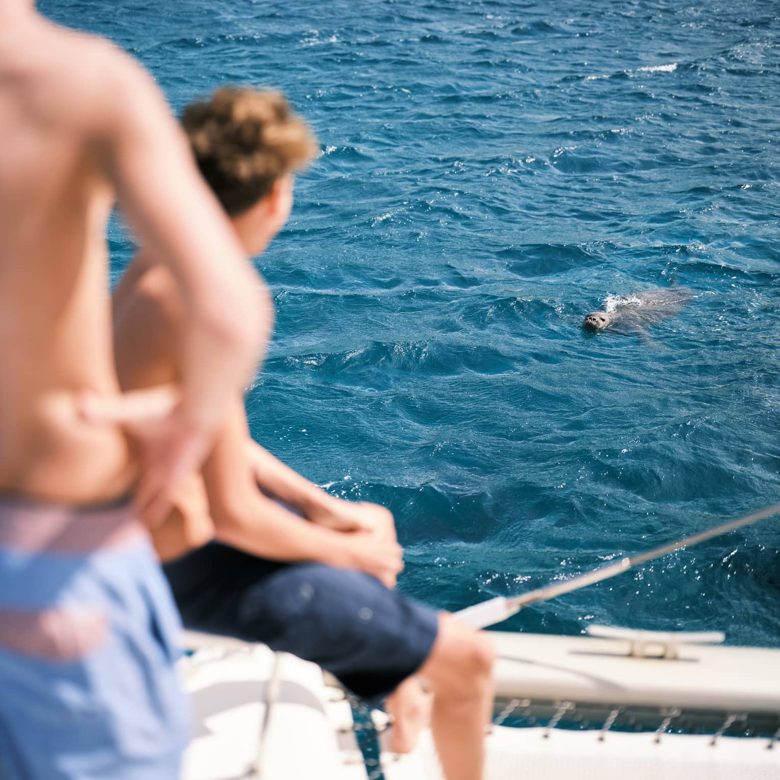 Two children on a boat watch a seal in the water