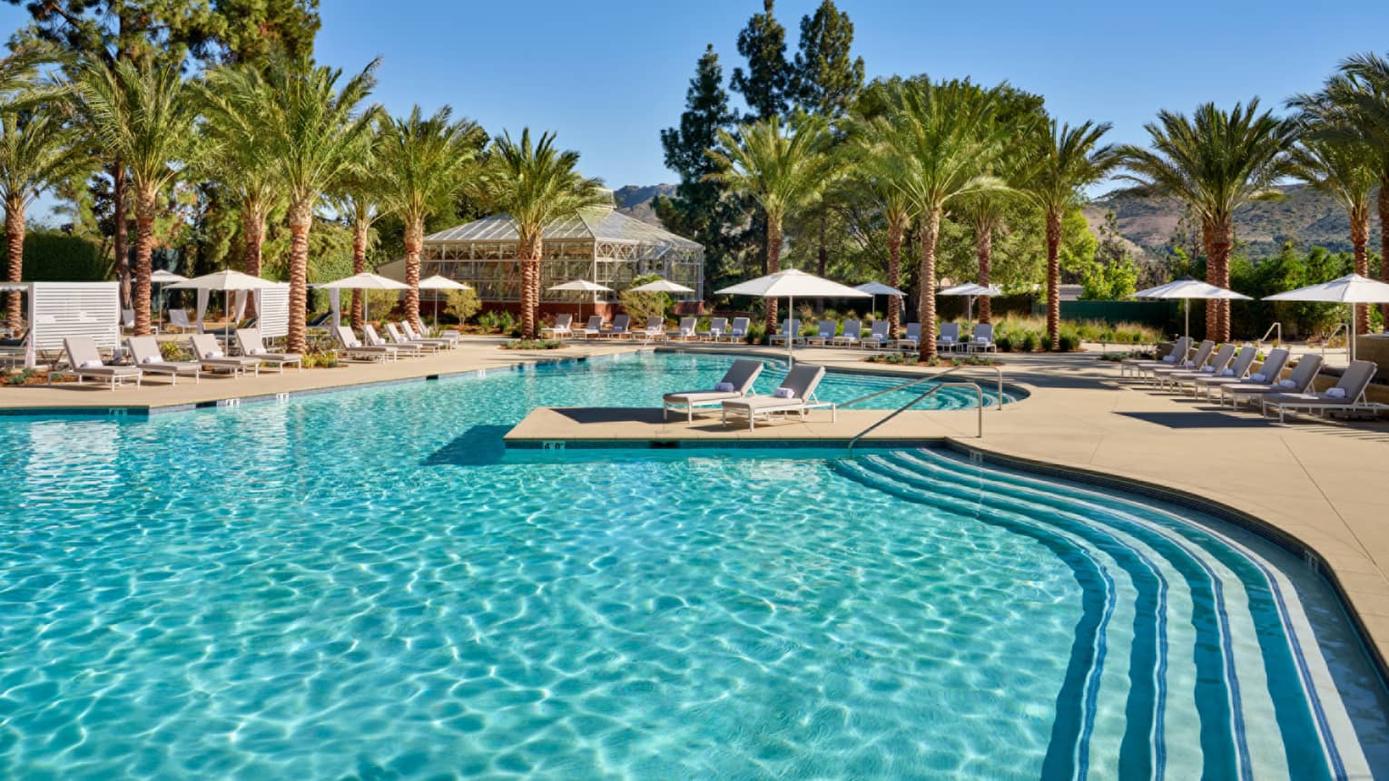 An outdoor pool surrounded by palm trees.