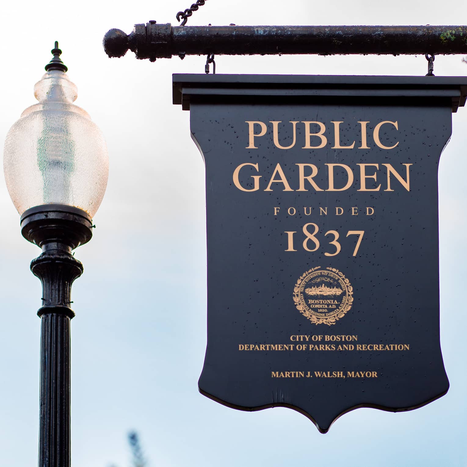 A blue outdoor sign that reads Public Garden hangs from a black rod. Behind, a tall streetlight stands amid treetops.
