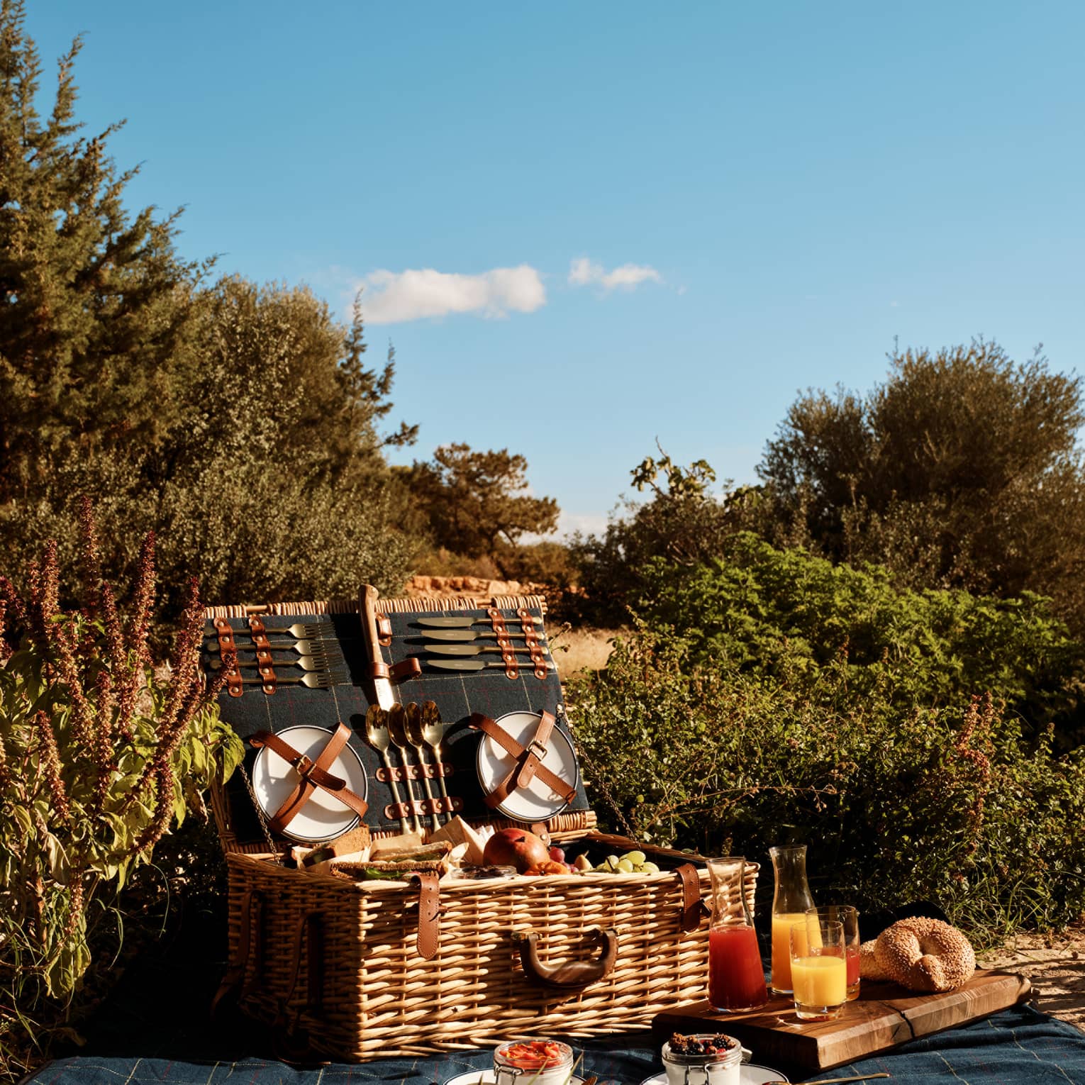 A large, well-stocked picnic basket with the lid open sits on a picnic blanket in an outdoor setting surrounded by greenery.