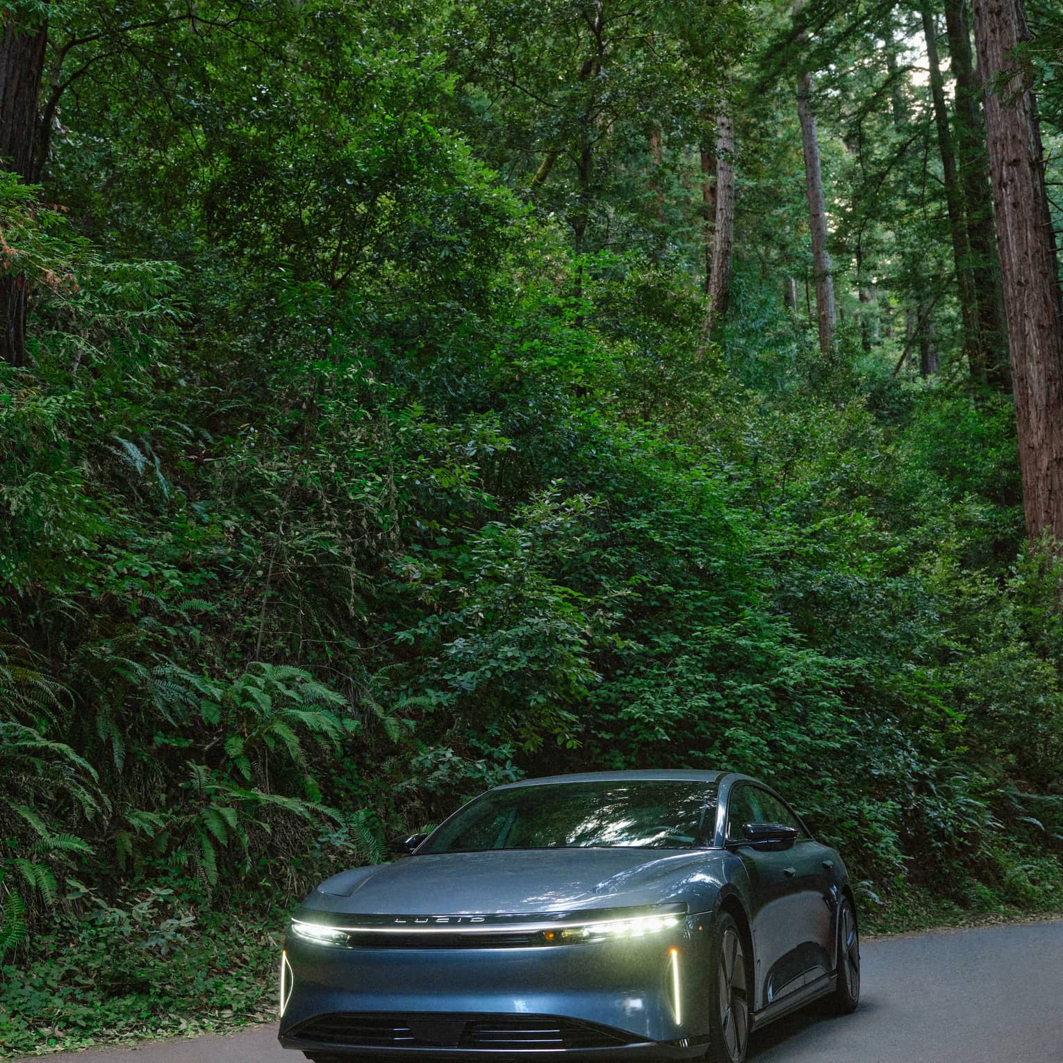 A car with the headlights on driving on a road near a forest