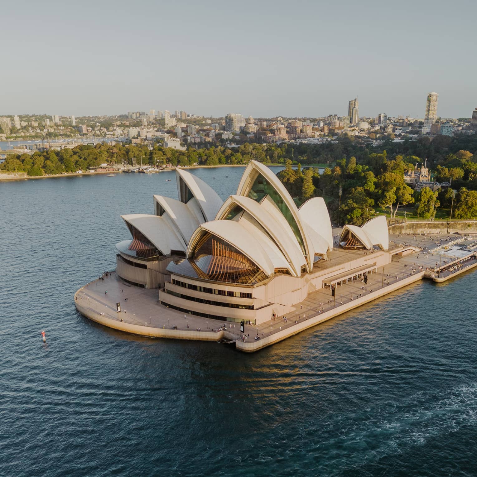 Aerial view of the Sydney Opera House, surrounded by deep blue harbour waters, with trees and city buildings beyond.