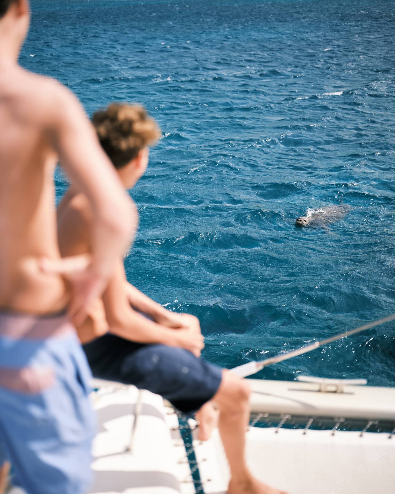 Two children on a boat watch a seal in the water