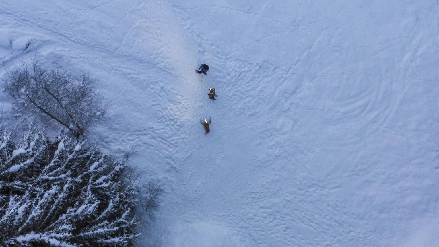 Aerial view of an igloo at night; firelight spills out the doorway onto the trees and footprints cross the fresh powder. 