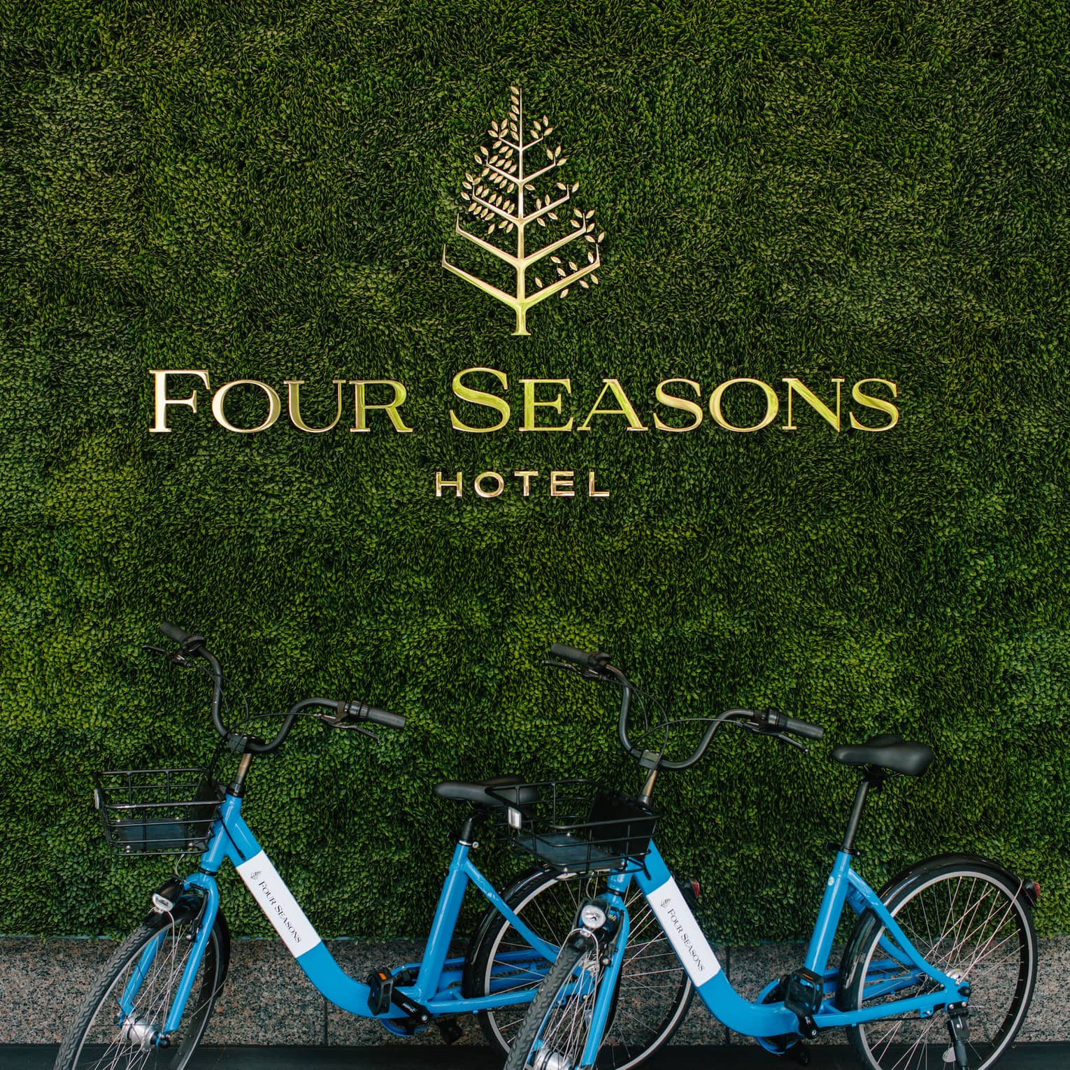 Two blue bicycles in front of a hedge with a Four Seasons Hotel sign on it.