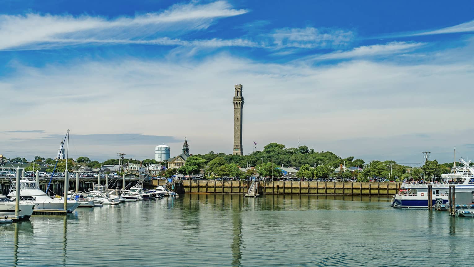 A dock with many boats and trees off in the distance.