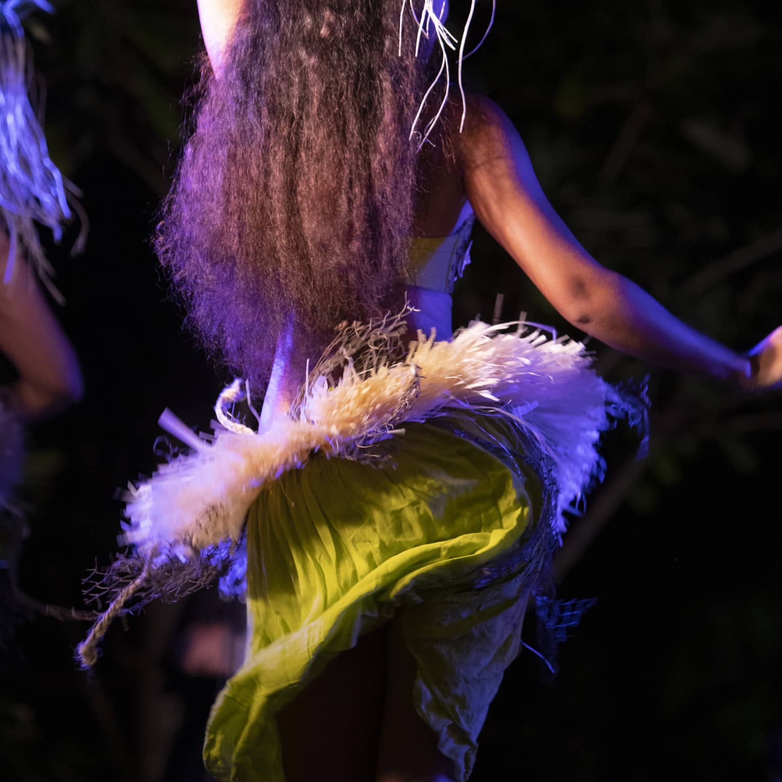 Hawaiian hula dancer