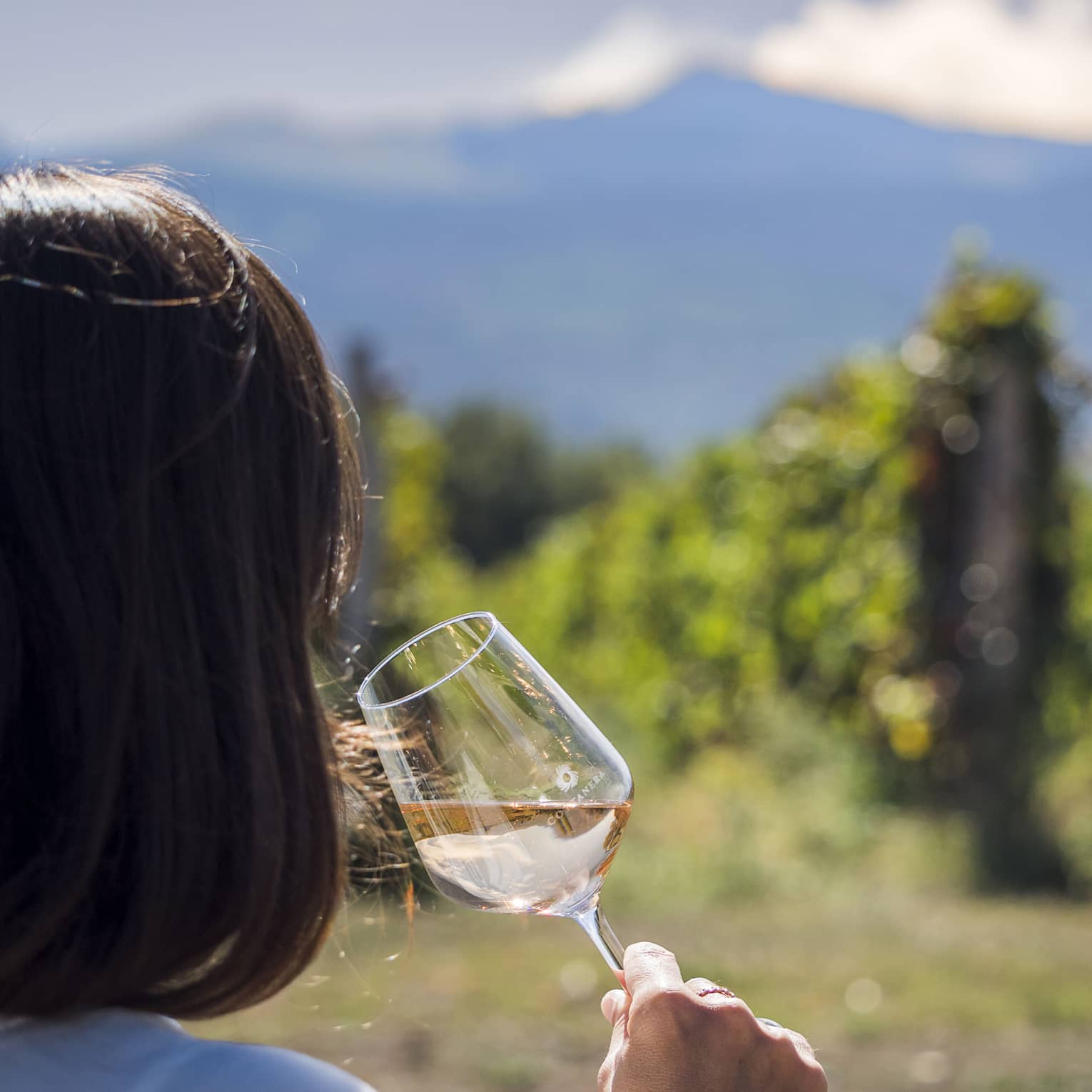 A person enjoys a glass of pale wine in an outdoor setting, with mountain views in the distance.