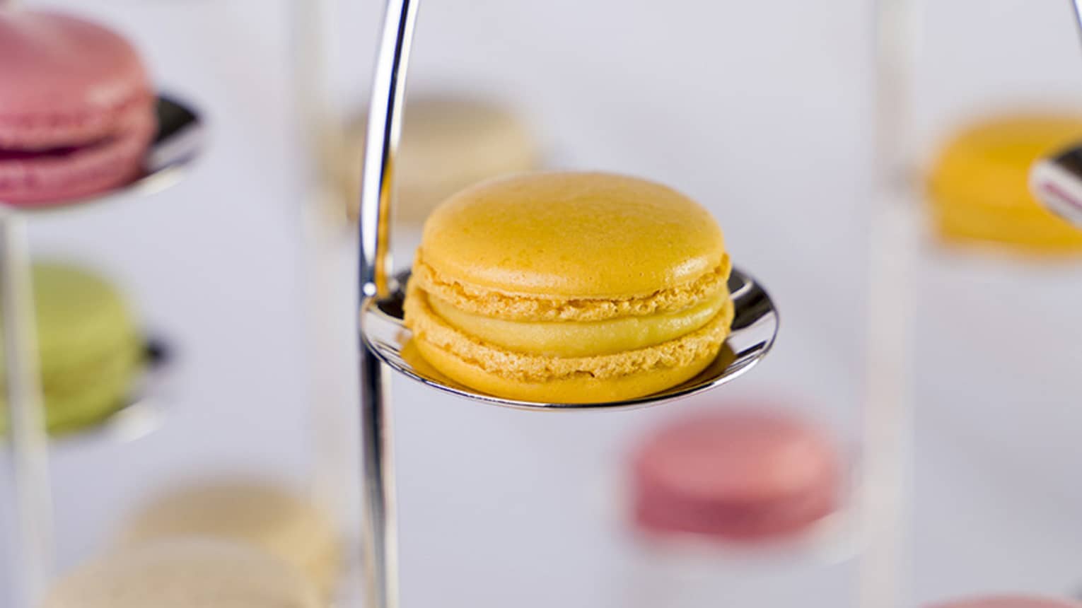 A yellow, glossy macaron sits daintily on a small metal platform, with other macaron-occupied platforms in the background
