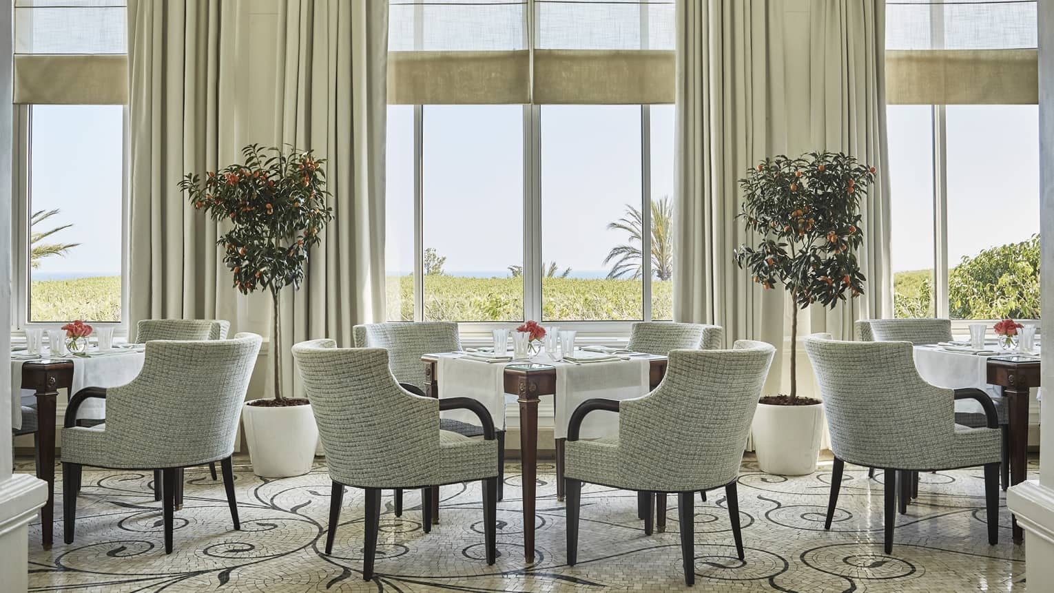Dining chairs and tables under tall, sunny windows, potted trees in La Veranda